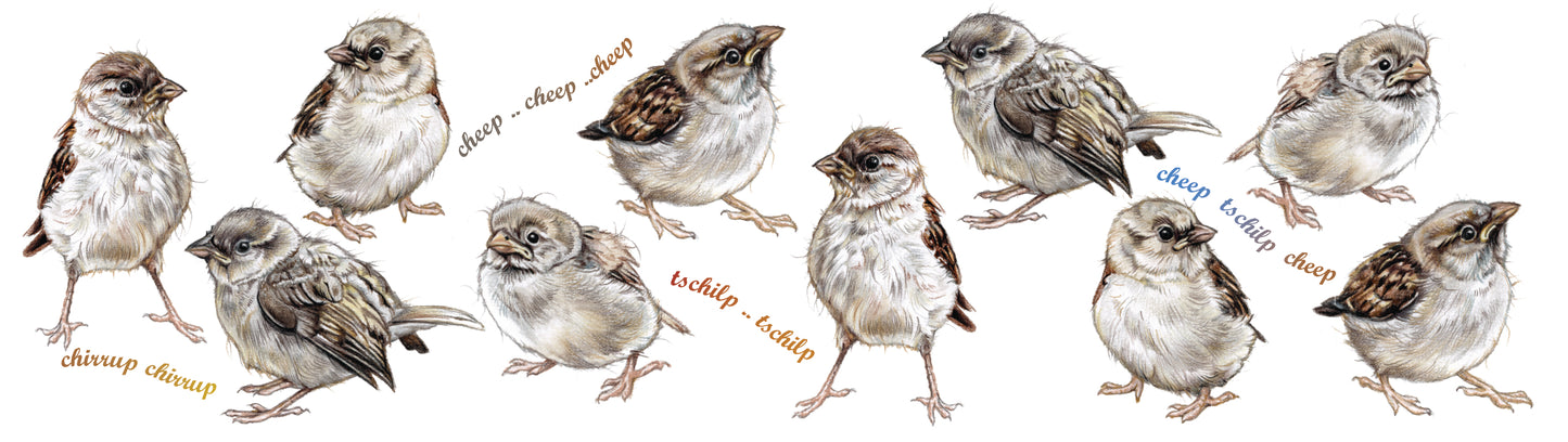 Mugs with collage - House sparrows