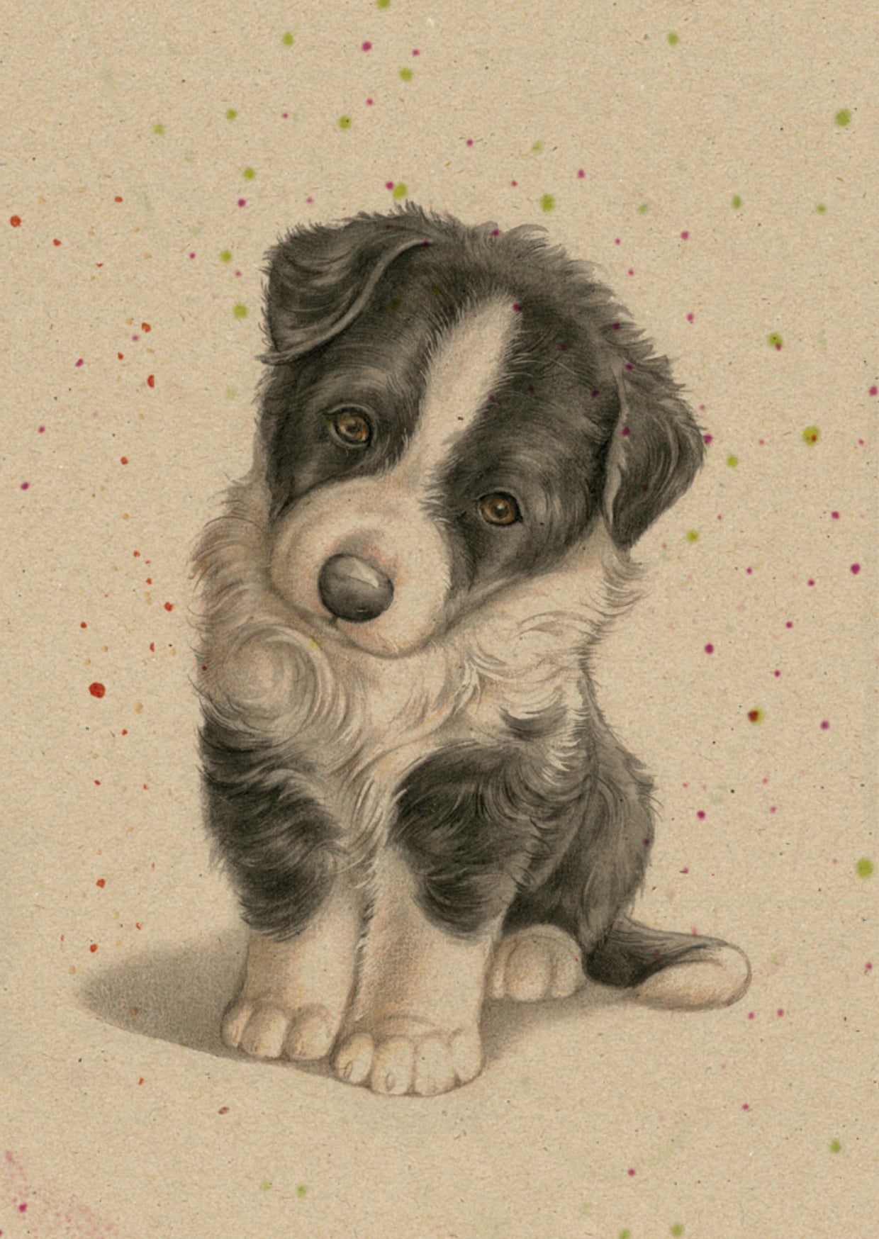 Kraftkaart A6 formaat (ansichtkaart) - kaart nummer 1 - Border Collie (per 5 stuks)