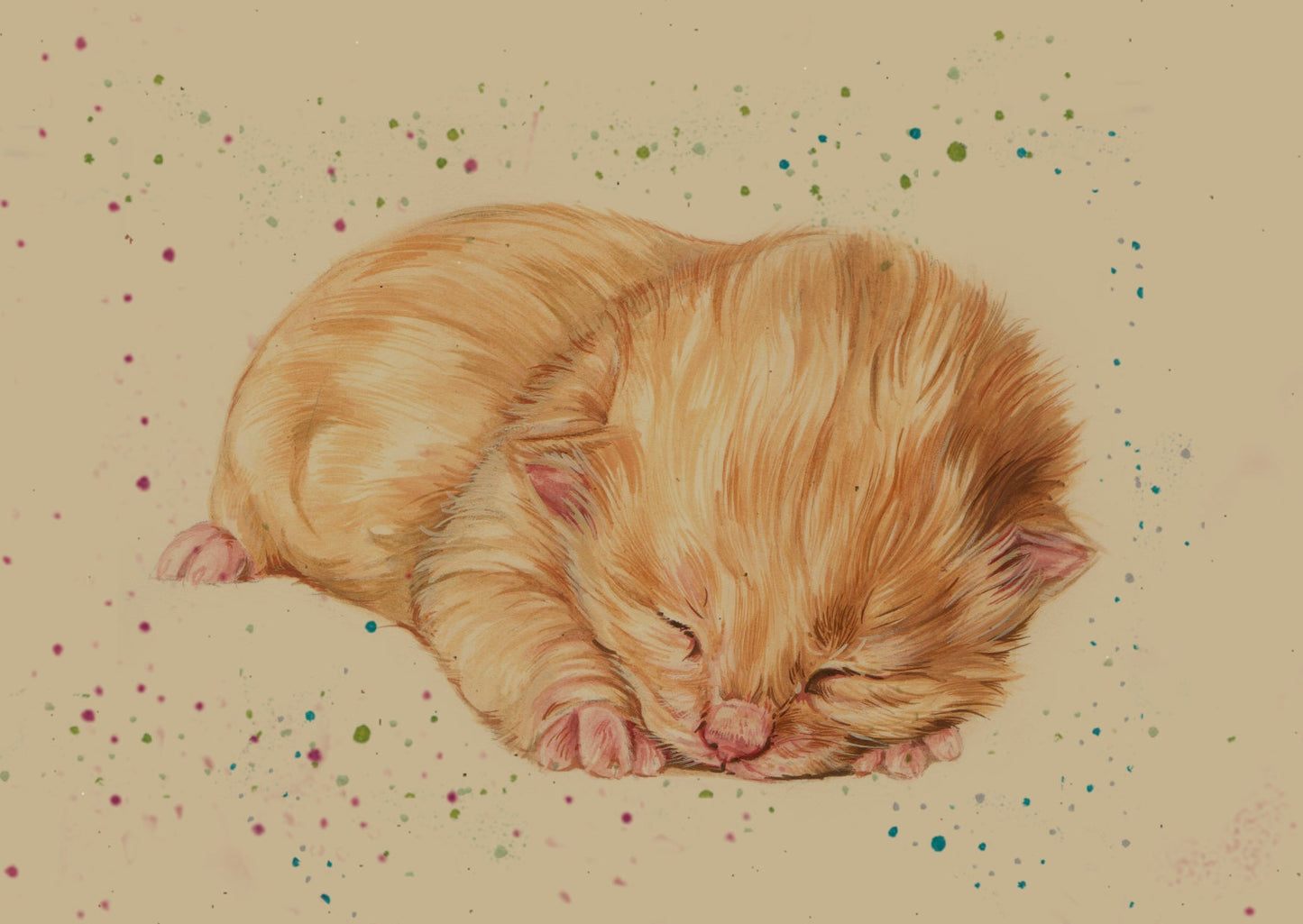 Kraftkaart A6 formaat (ansichtkaart) - kaart nummer 8 - Kitten rood (per 5 stuks)