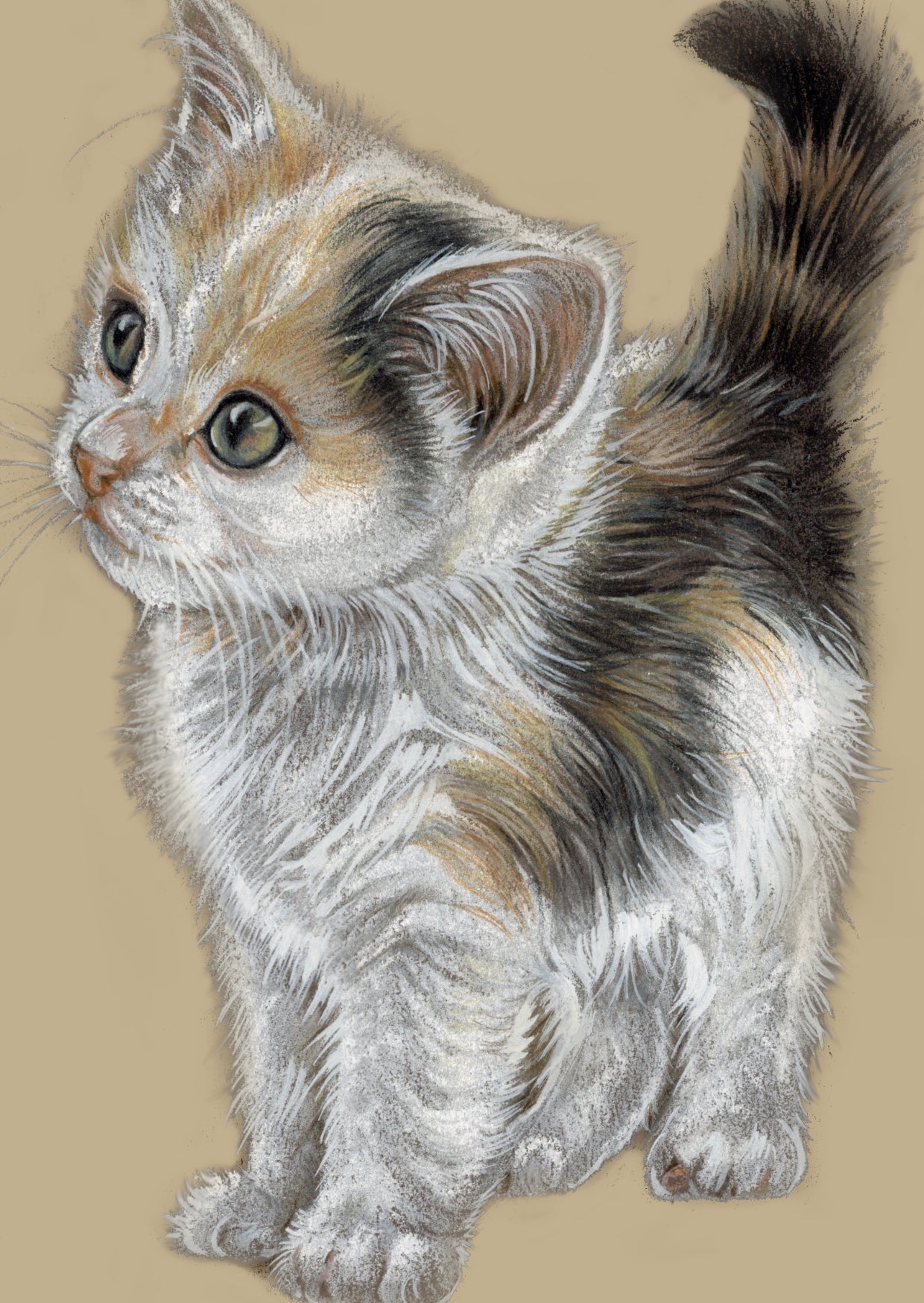 Kraftkaart A6 formaat (ansichtkaart) - kaart nummer 11 - Kitten (per 5 stuks)