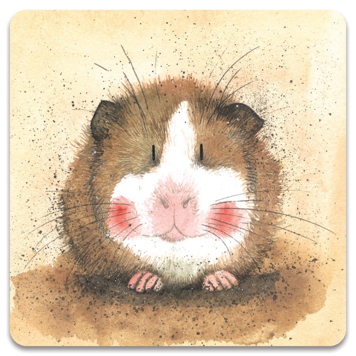 Alex Clark – Kühlschrankmagnet – Meerschweinchen