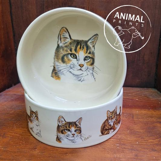 Katzenfutternapf-Design 1