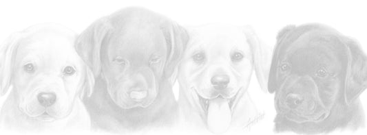 Schmale Karten – Labrador Retriever – pro 5 Stück