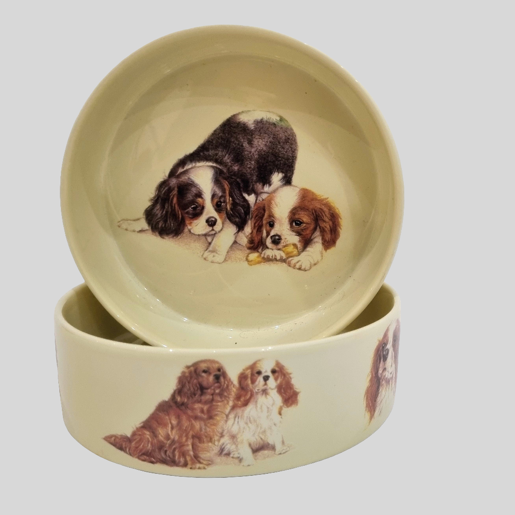 Voerbak Cavalier King Charles Spaniel