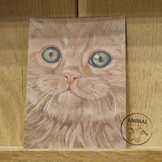 Kraftkaart A6 formaat (ansichtkaart) - kaart nummer 24 - Rode kat / (per 5 stuks)