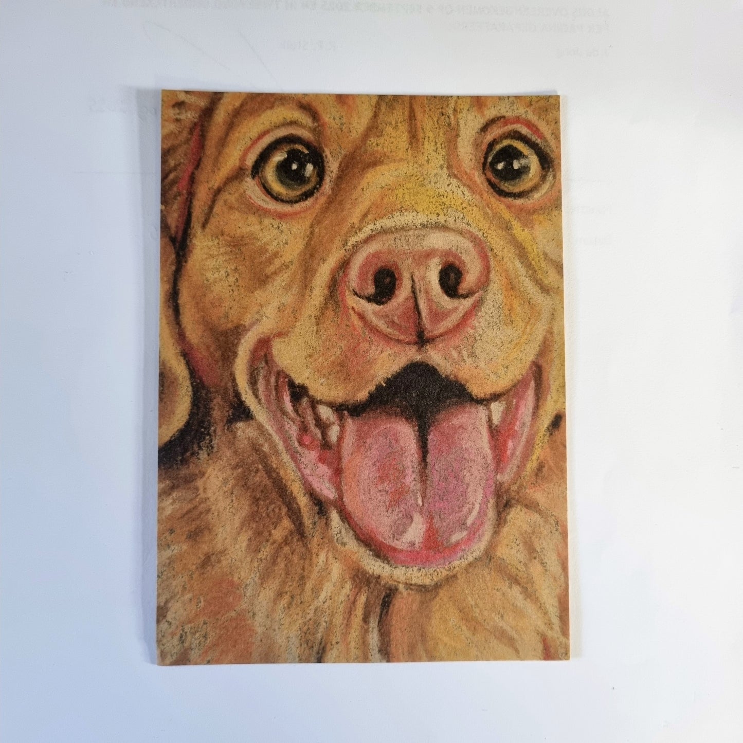 Kraftkaart A6 formaat (ansichtkaart) - kaart nummer 20 - Nova Scotia Duck Tolling Retriever (per 5 stuks)