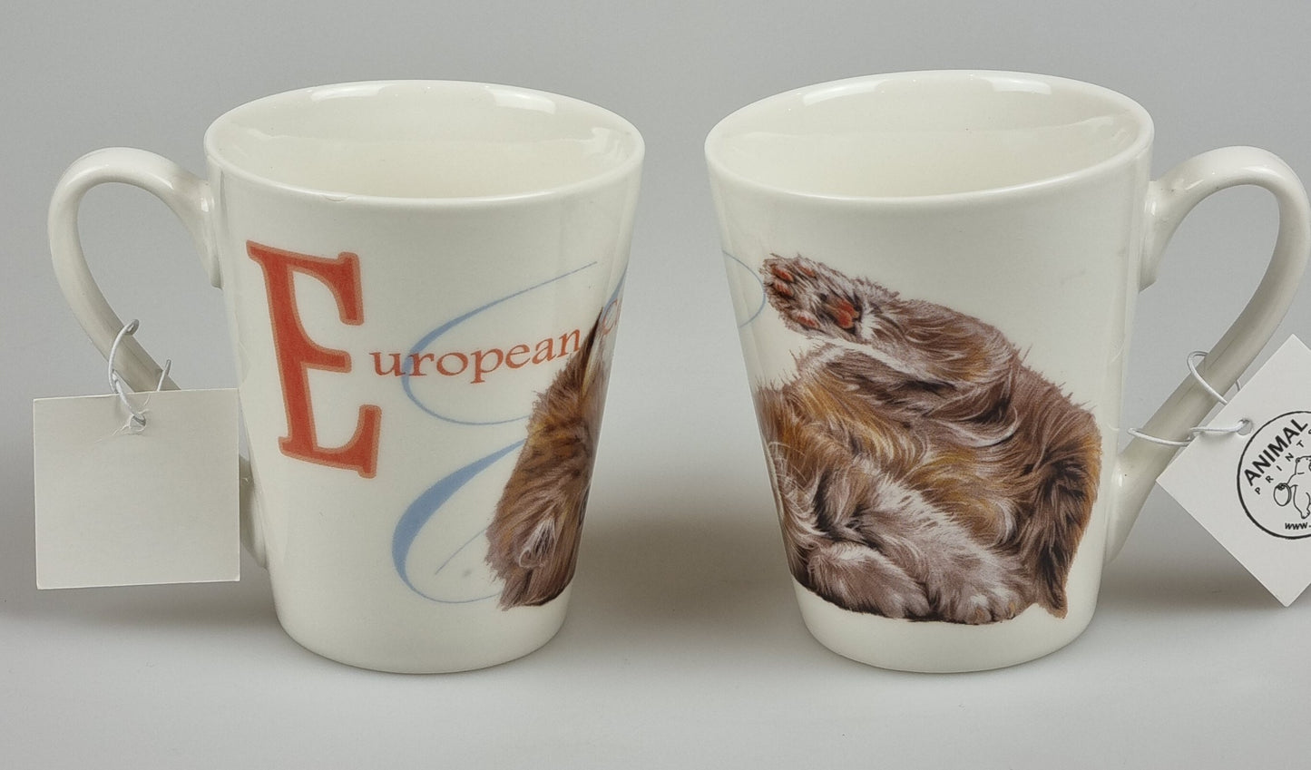 Becher Europäisch Kurzhaar - Neue Kollektion