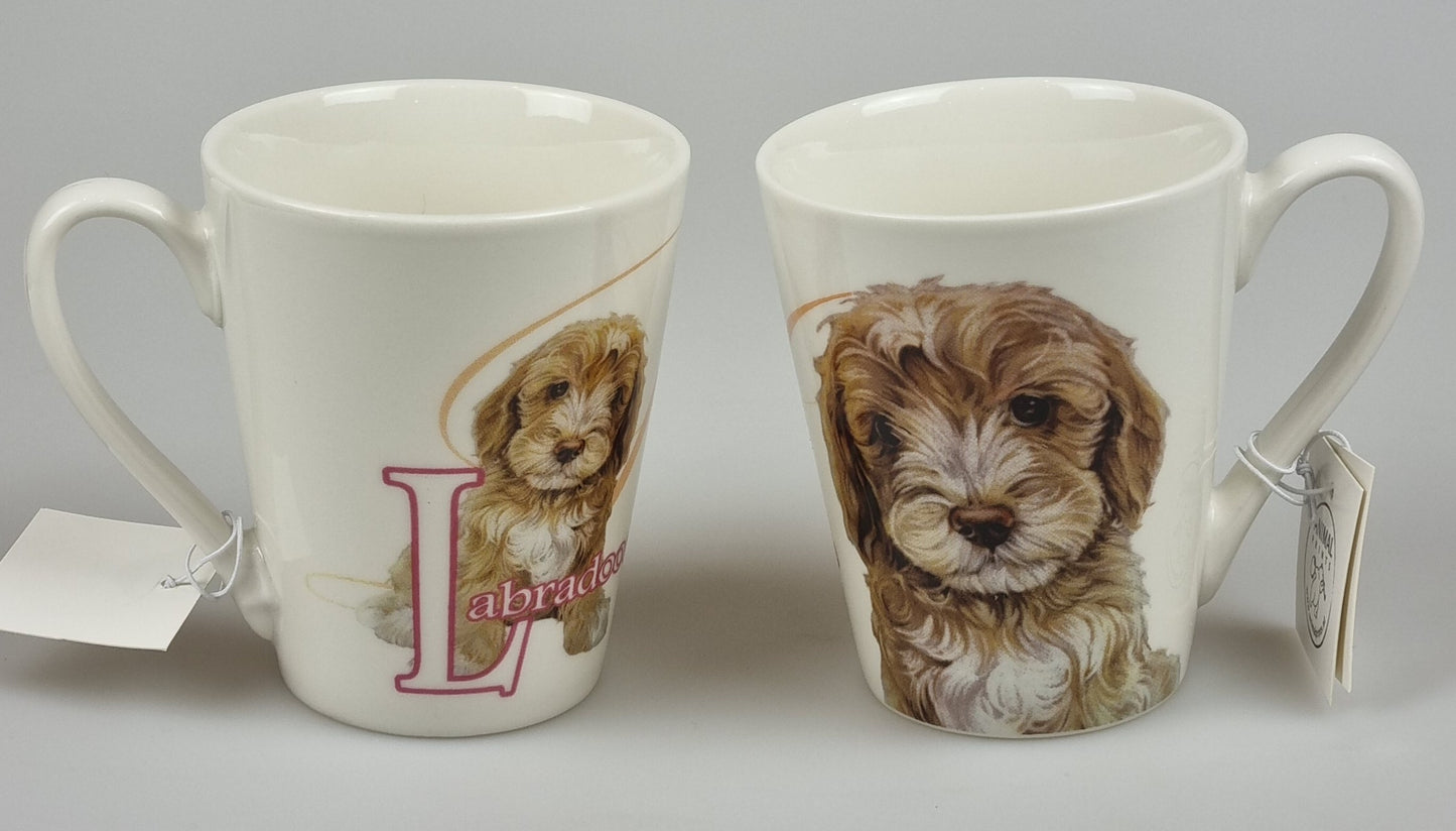 Mok Labradoodle - New collection