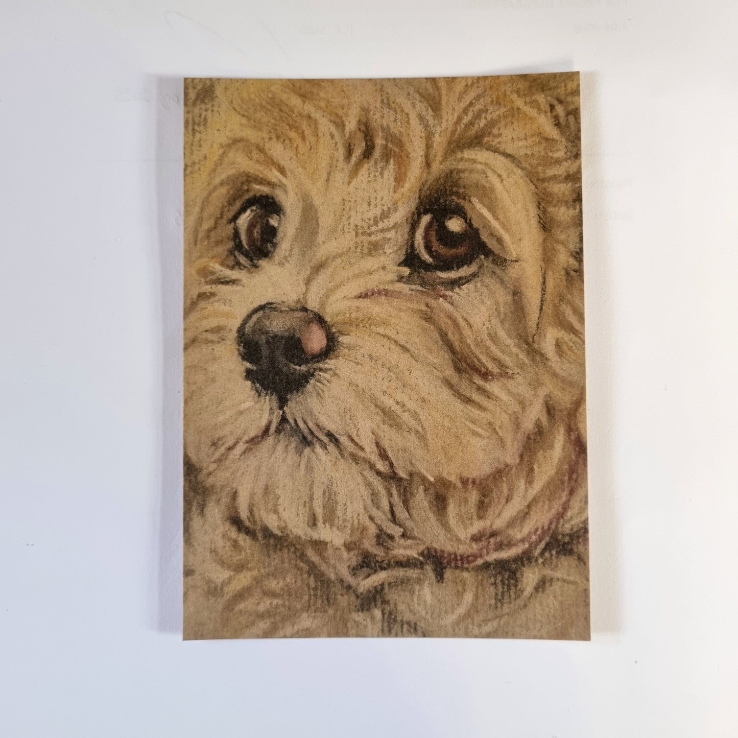 Kraftkaart A6 formaat (ansichtkaart) - kaart nummer 14 - Labradoodle (per 5 stuks)