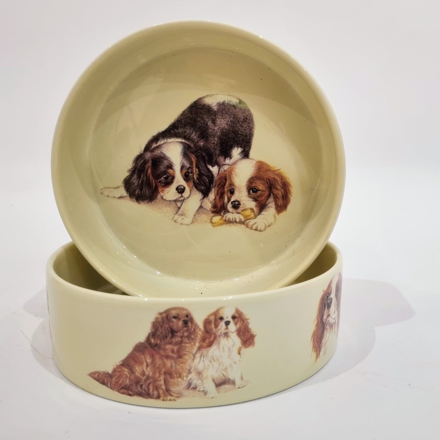 Futternapf für Cavalier King Charles Spaniel