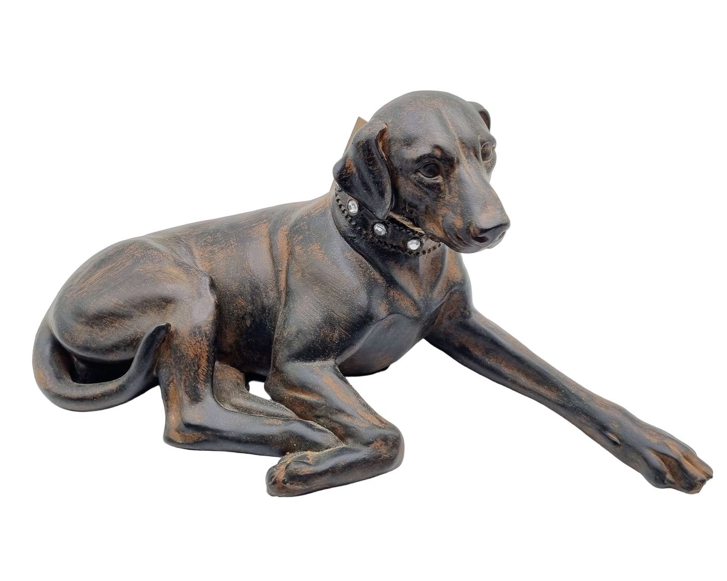 Bild – Liegender Jagdhund