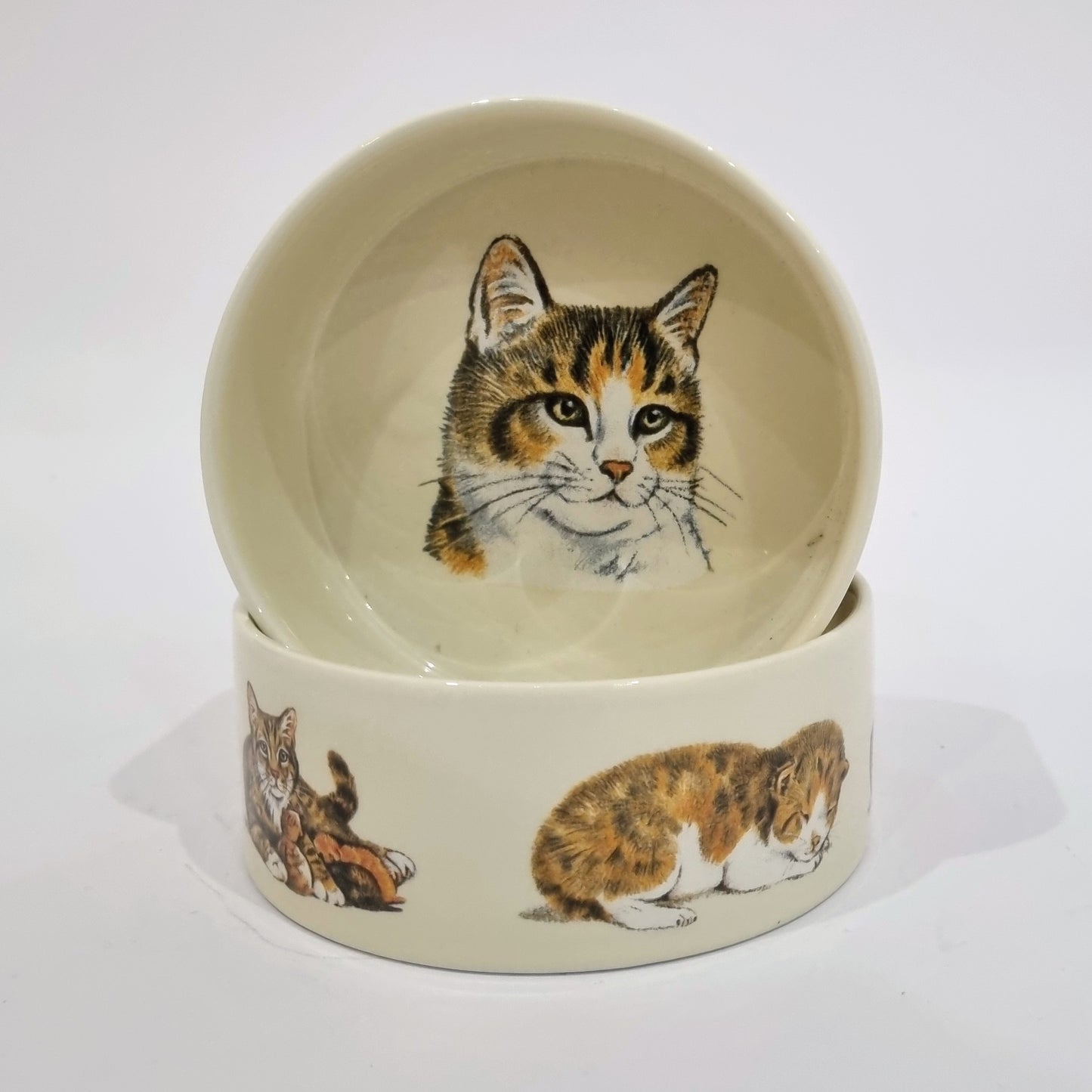 Katzenfutternapf-Design 1