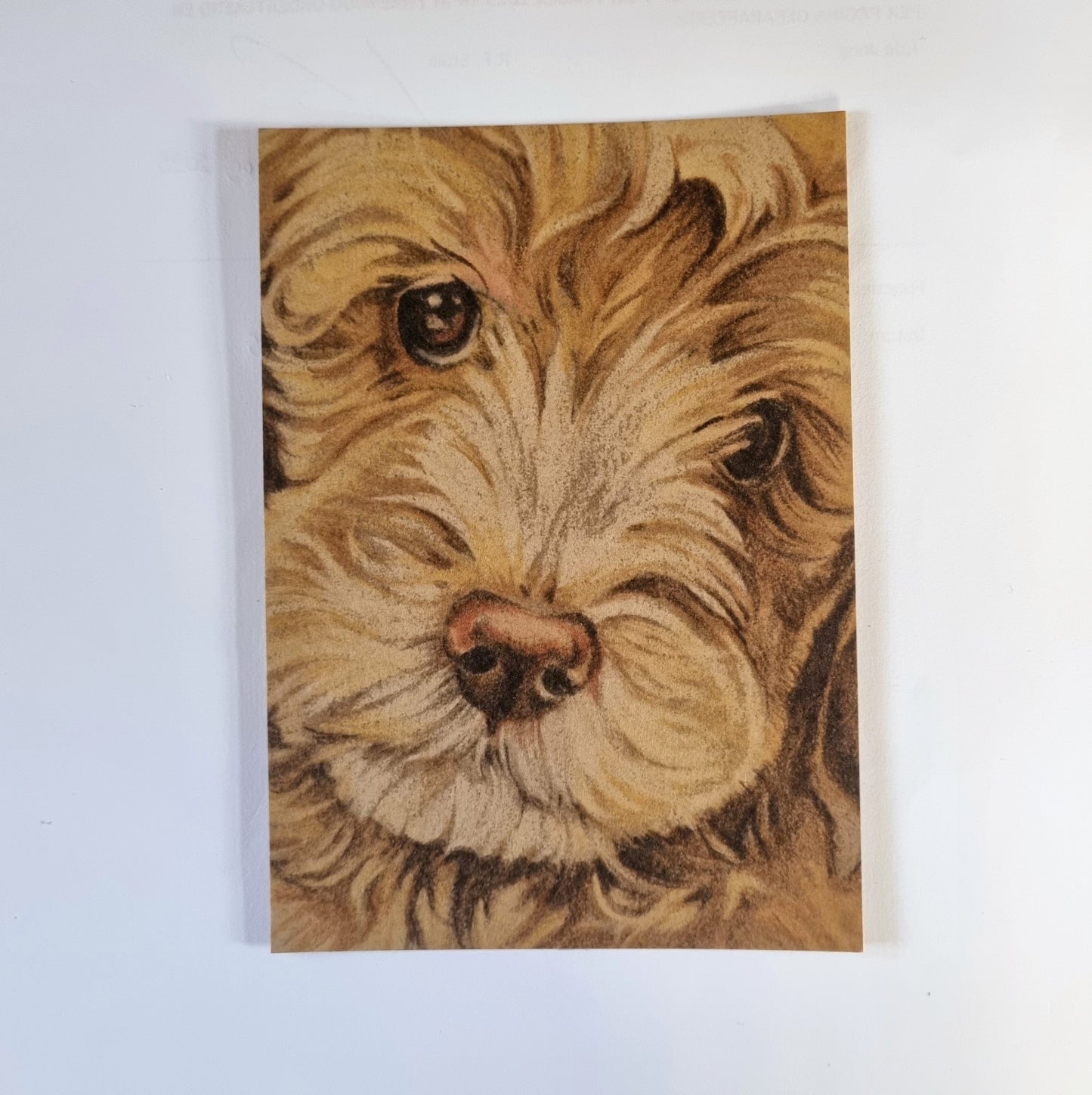 Kraftkaart A6 formaat (ansichtkaart) - kaart nummer 15- Labradoodle (per 5 stuks)