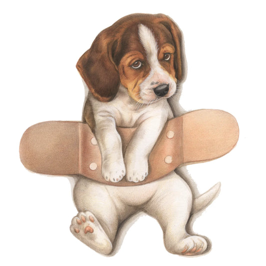 Quadratische Karte - Pflaster auf Beagle - Gute Besserung