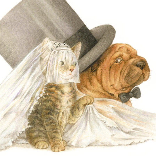 Quadratische Karte – Heirat, Cat und Sharpei gehen aufs Spiel