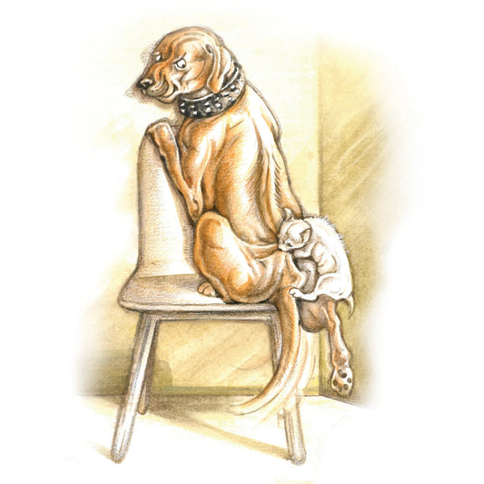 Quadratische Karte - Emotion im Wartezimmer; Hund mit Bisswunde von Chihuahua