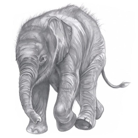 Quadratische Karte - Elefant; „Dann komme ich zu dir“!