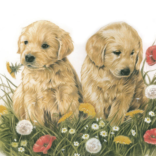 Quadratische Karte - Die Blumen draußen zusammenstellen. Golden Retriever-Welpen im Gras