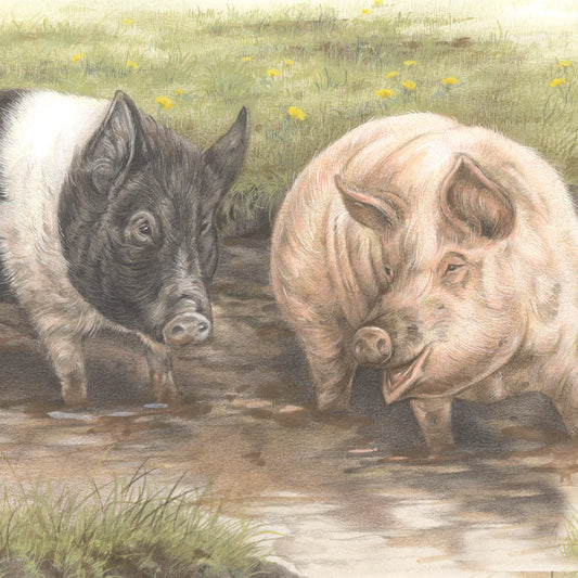 Quadratische Karte - Wir machen einen Schweinestall..