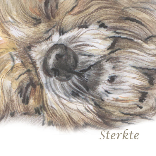 Quadratische Karte - Beileidskarte Hund
