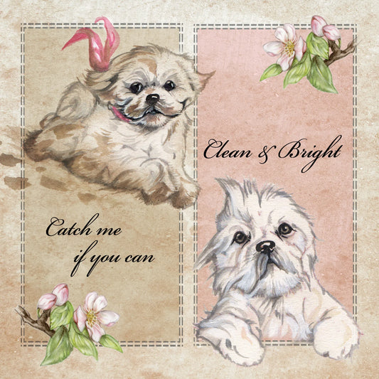 Quadratische Karte - Catch me if you can - Clean & Bright