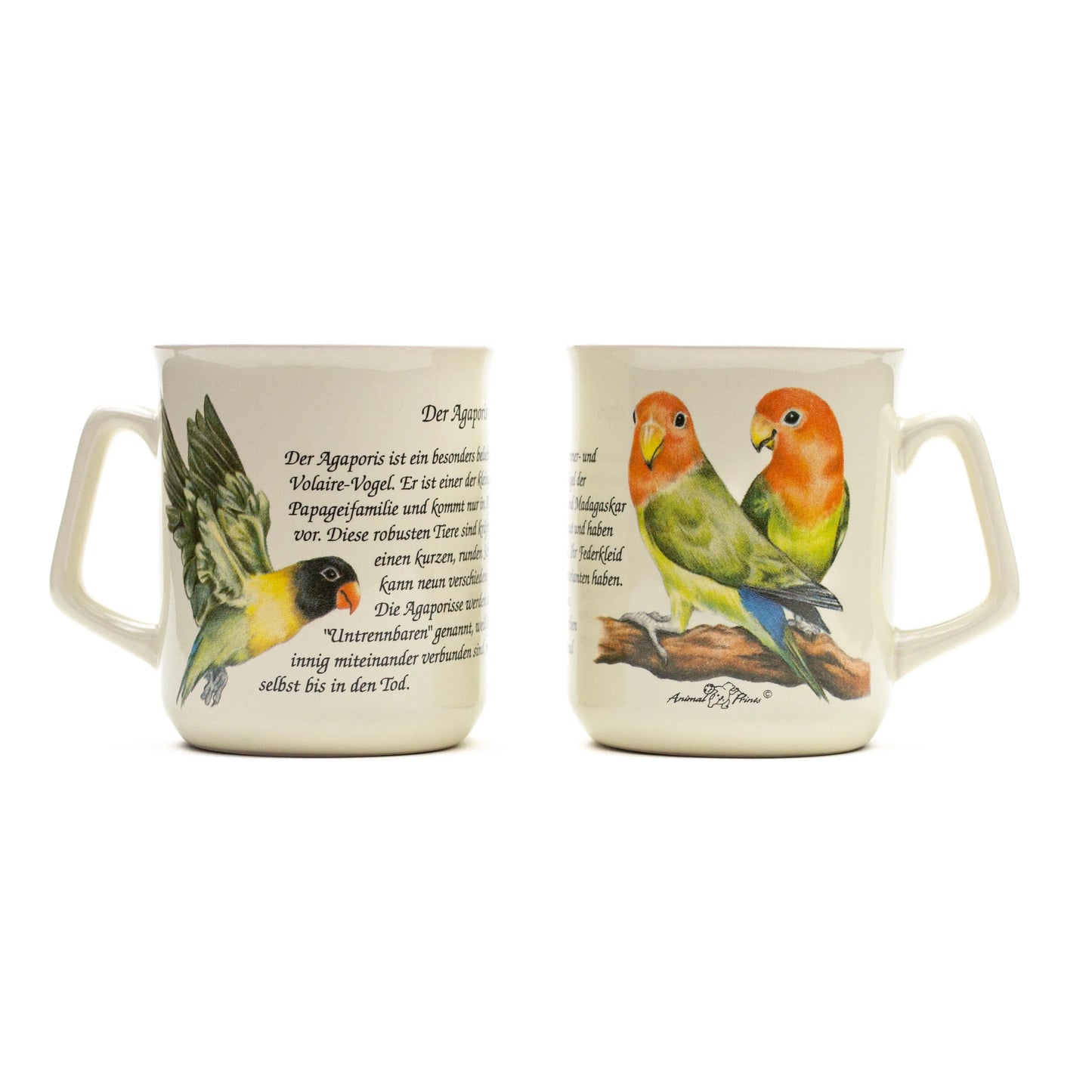 Mug Agapornis