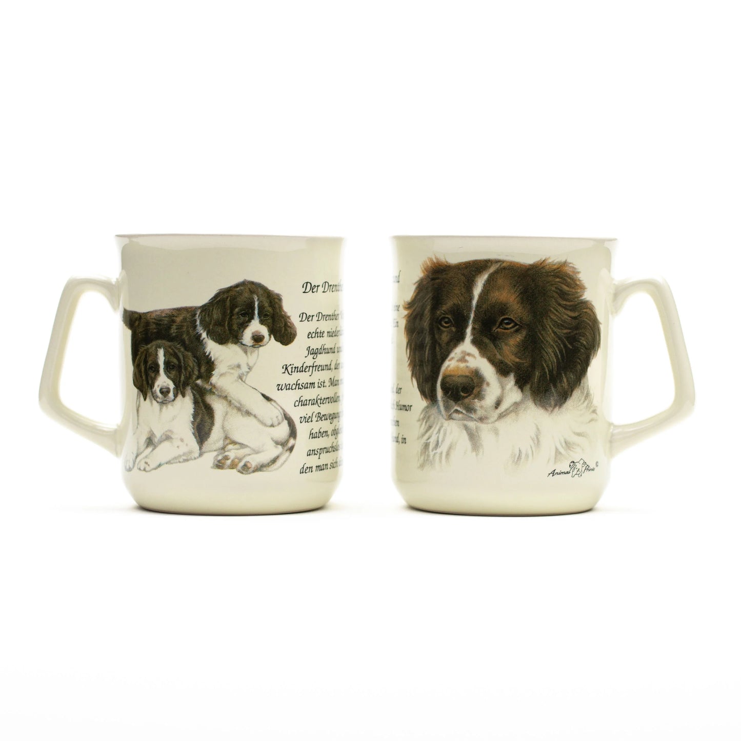 Mug Drentsche Partridge Dog