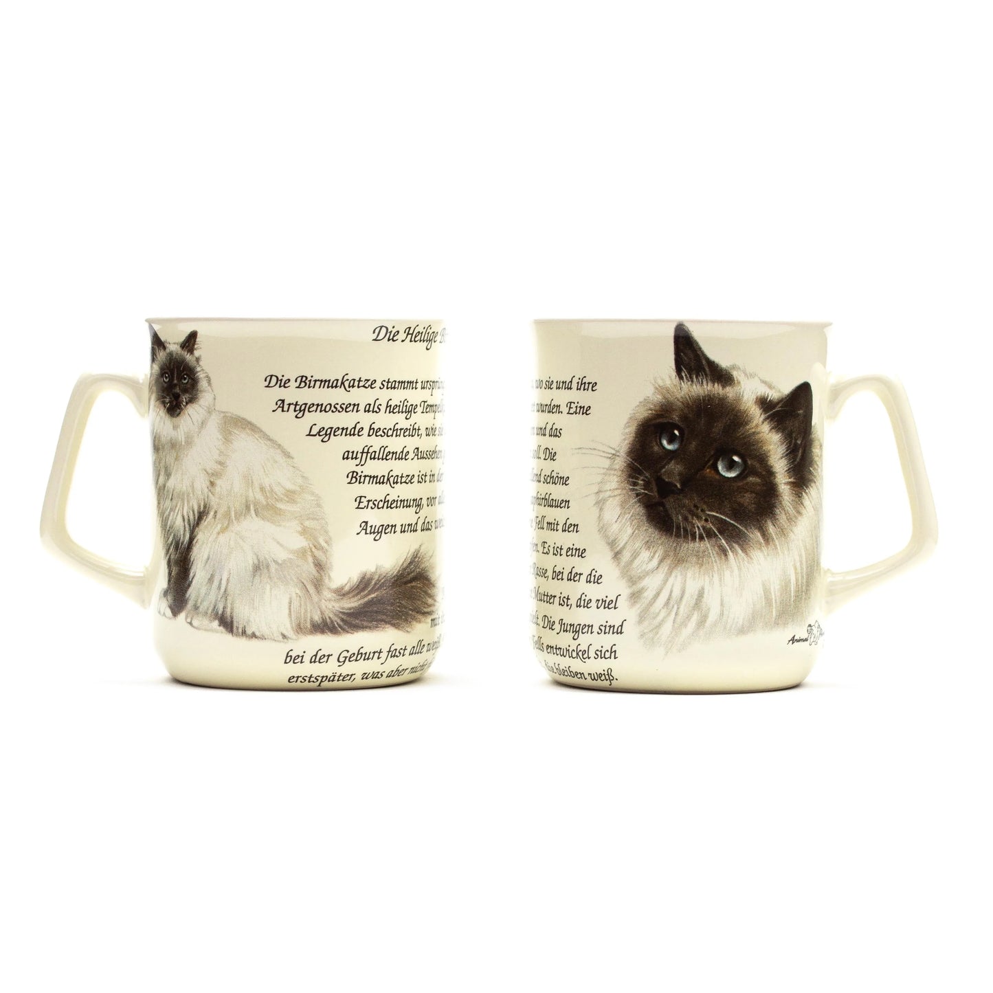 Tasse Heilige Birma