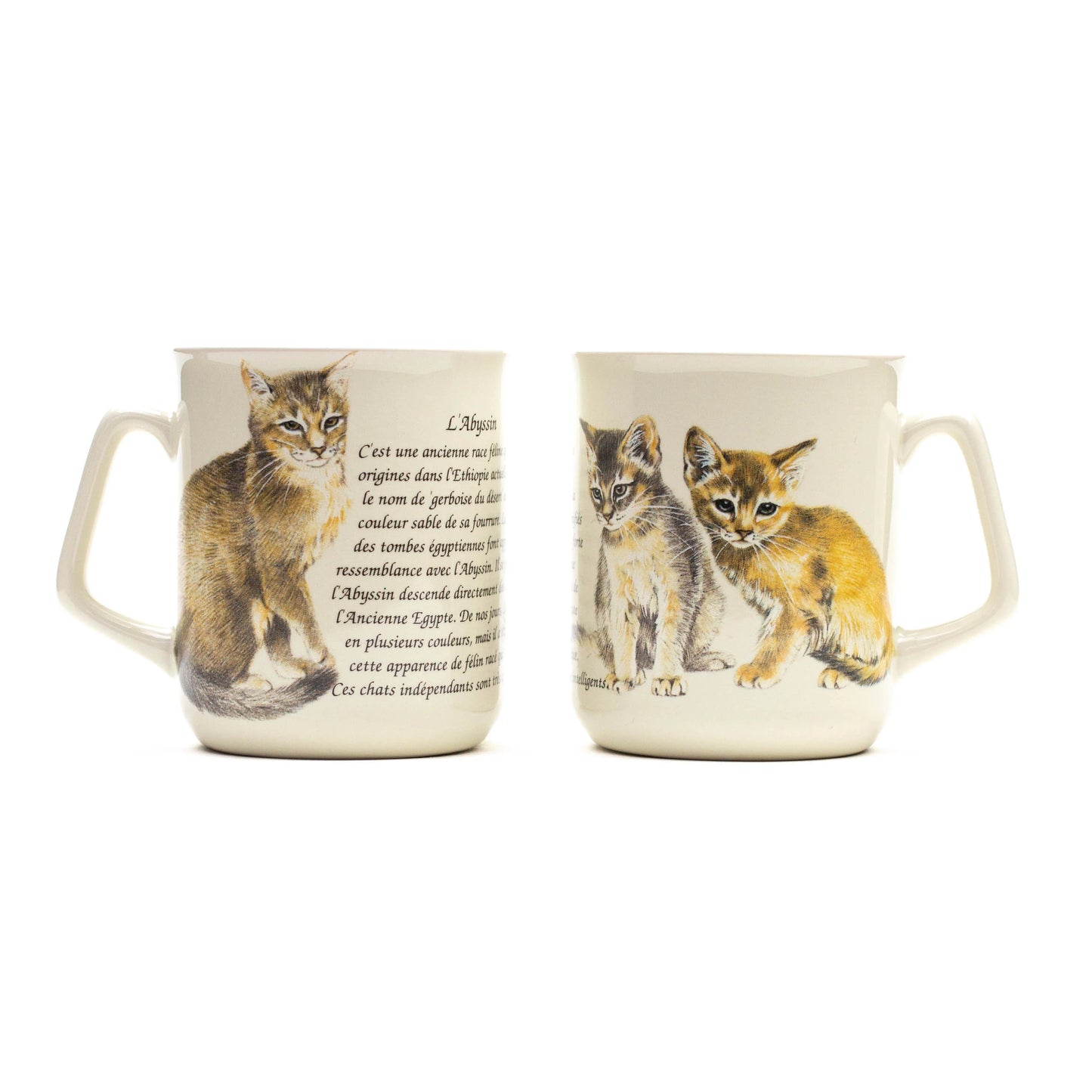 Mug Abyssinian