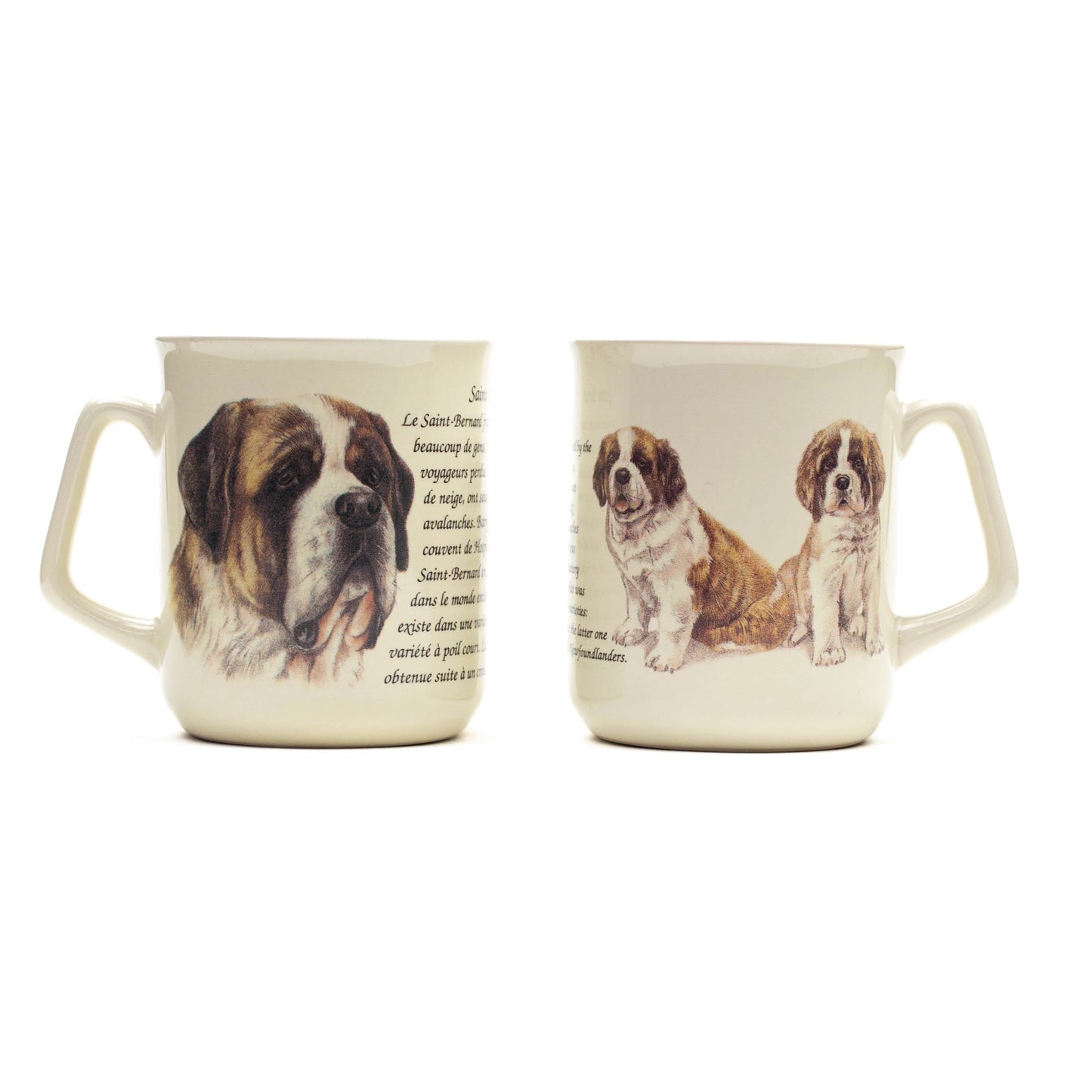 Mug Saint Bernard