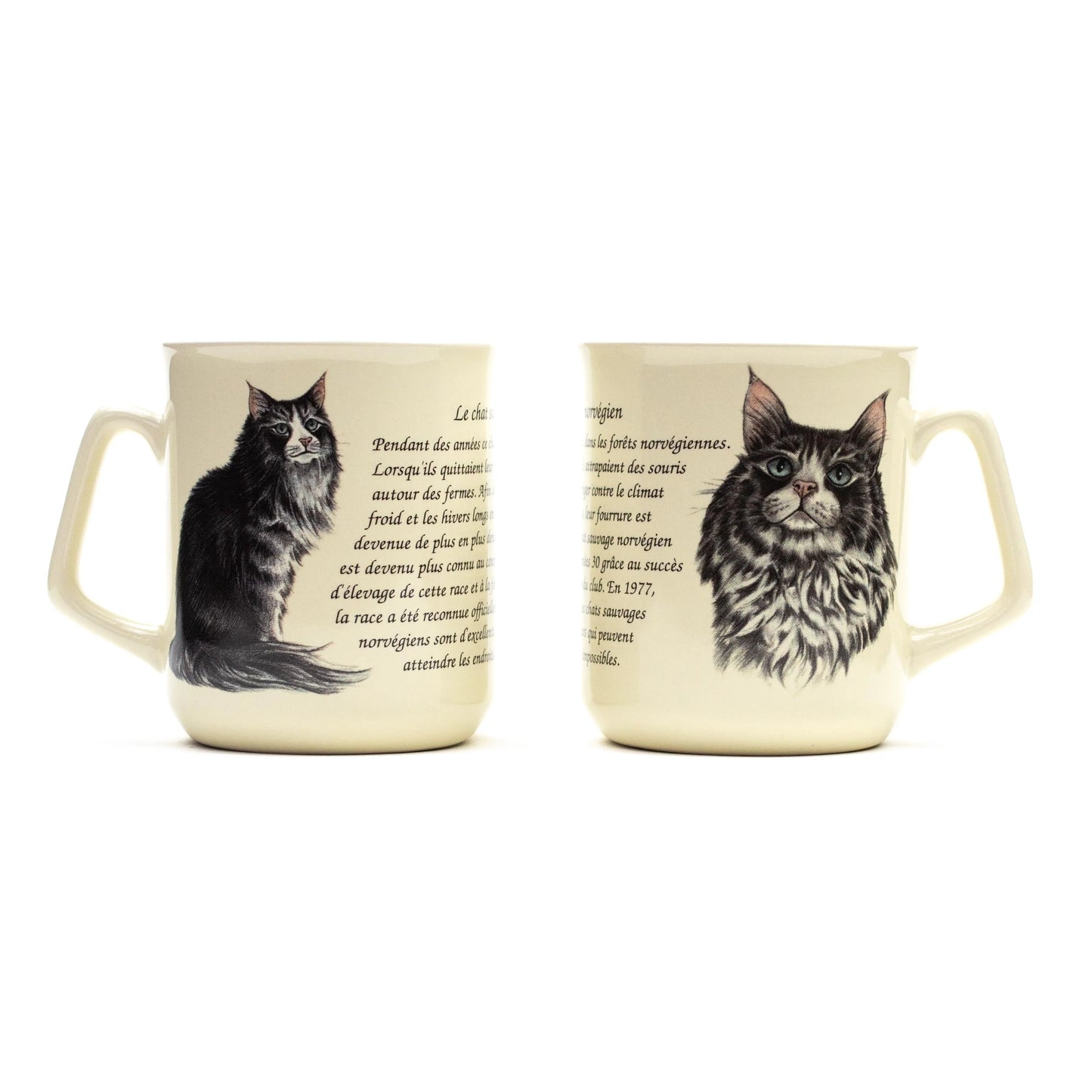 Tasse Norwegische Waldkatze