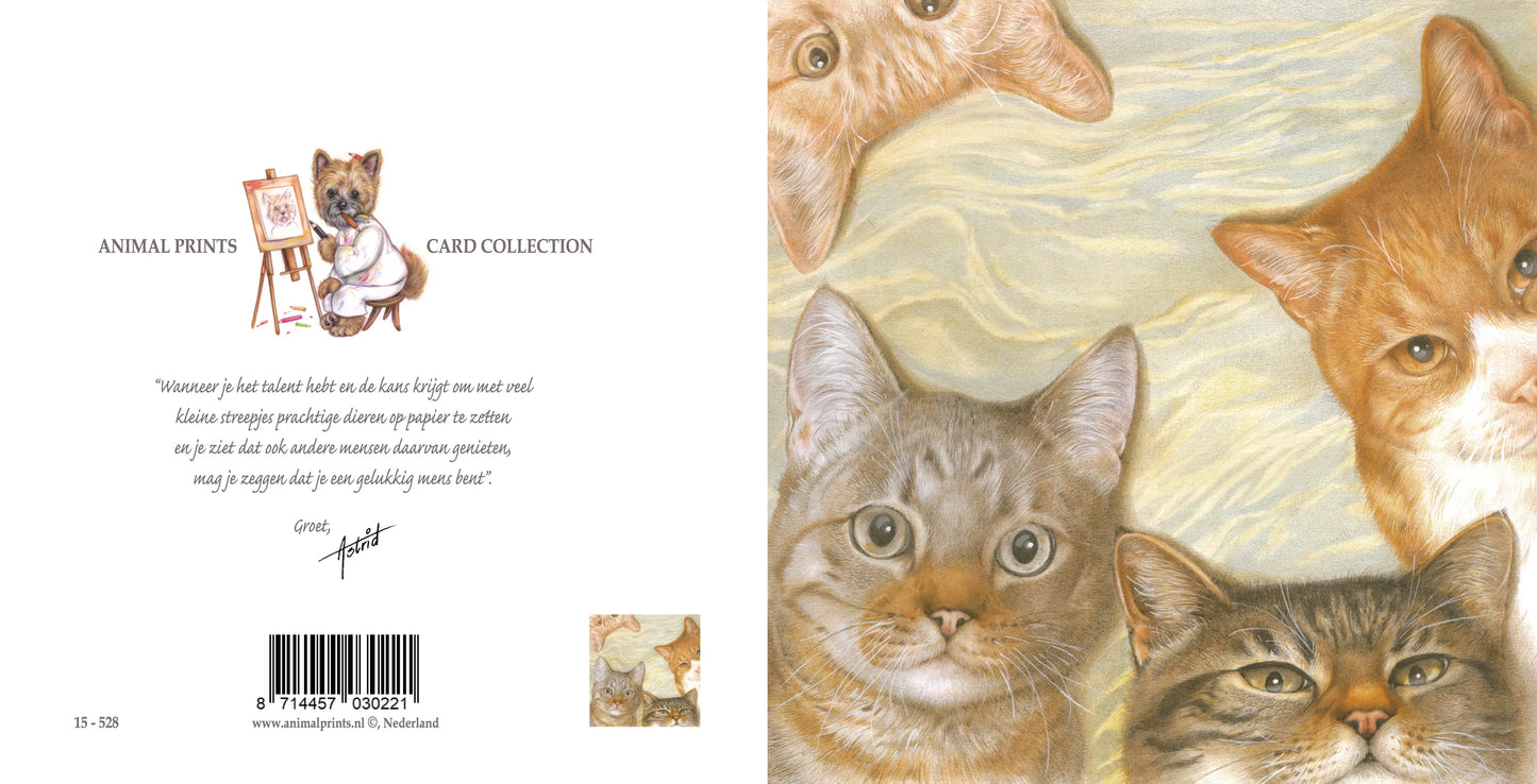 Vierkante kaart - Kattencollage