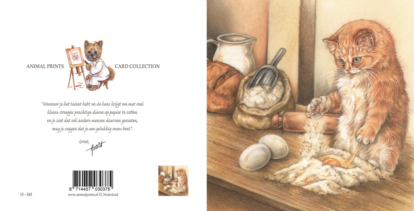 Quadratische Karte - All of Holland Bakes, also liefere ich auch meinen Anteil!