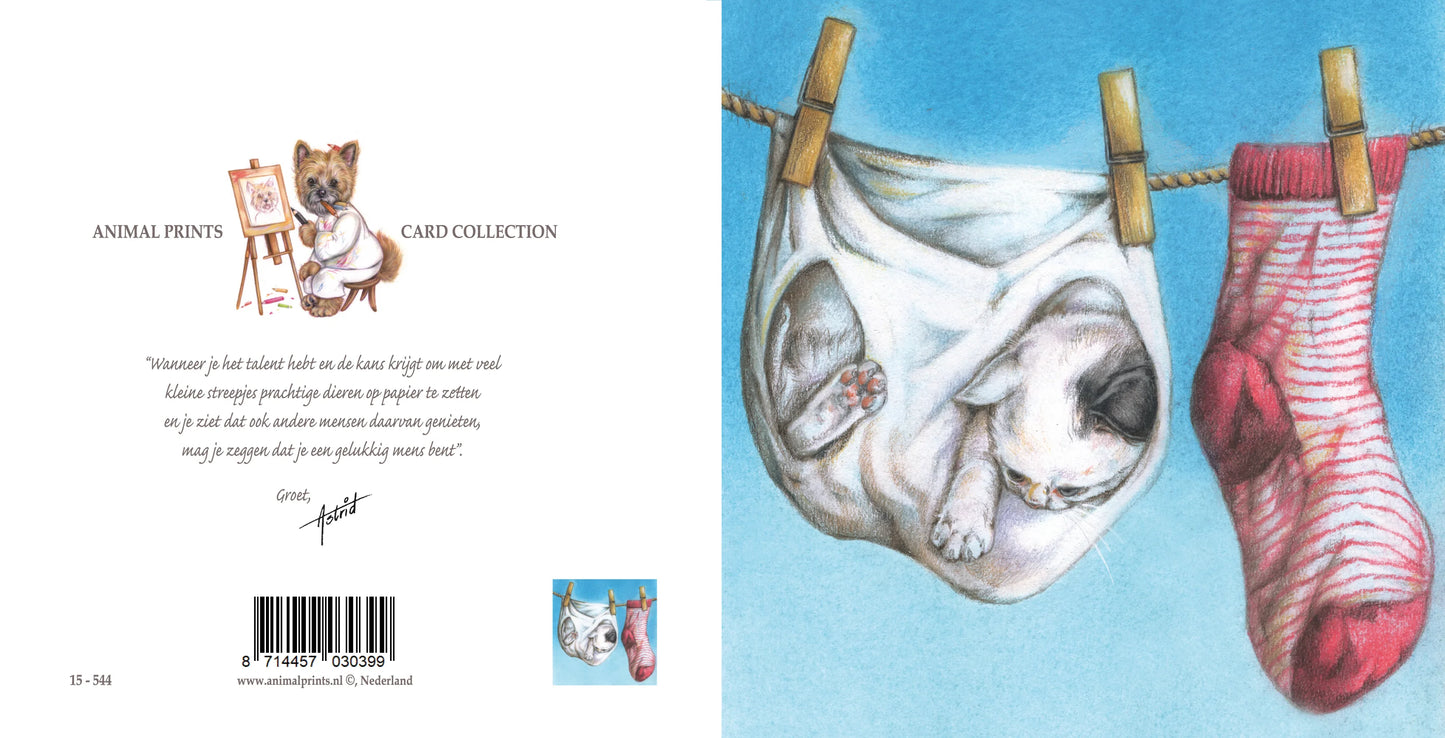 Quadratische Karte - Wir hängen die schmutzige Wäsche nicht draußen auf, unser Kätzchen schon