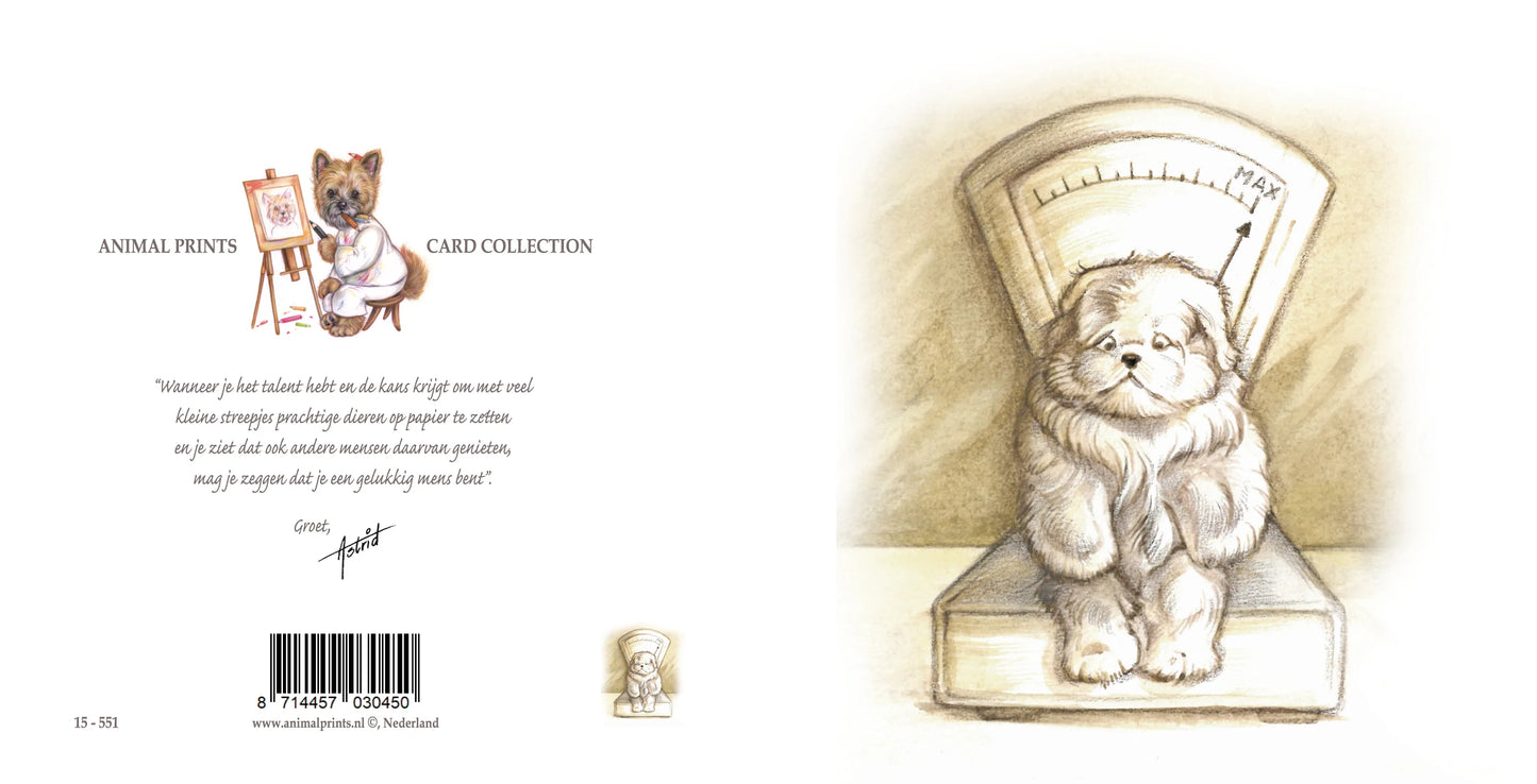 Quadratische Karte - Emotion im Wartezimmer; Wichtige Dinge für einen Hund