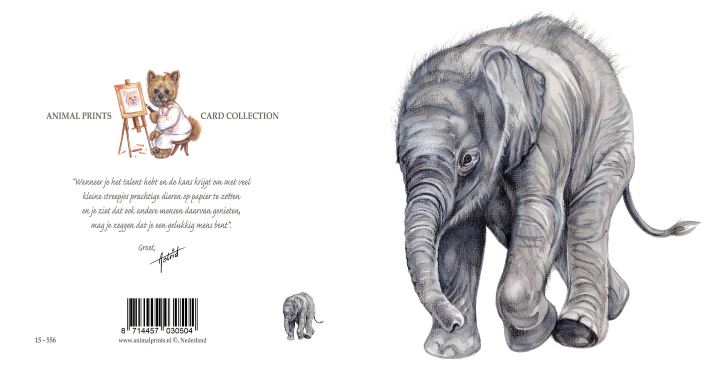 Quadratische Karte - Elefant; „Dann komme ich zu dir“!