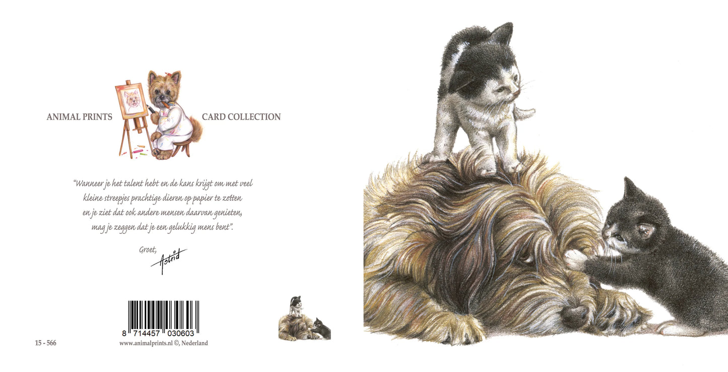 Quadratische Karte - Nie mehr ein ruhiger Ort im Haus, seit diese 2 angekommen sind !!