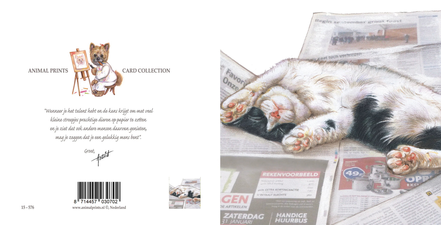 Square Card - Fall asleep to all those boring news stories.