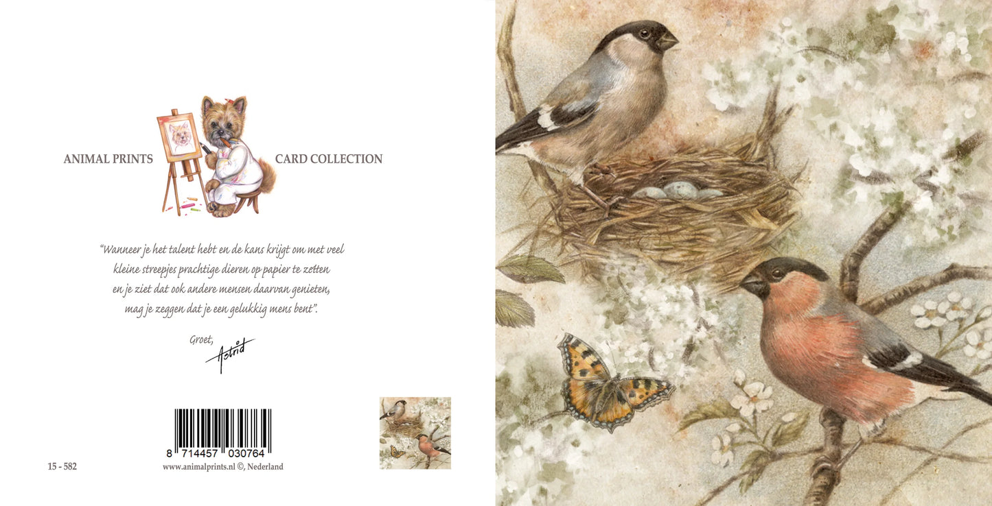 Square card - A beautiful drawing, from a bird's eye view