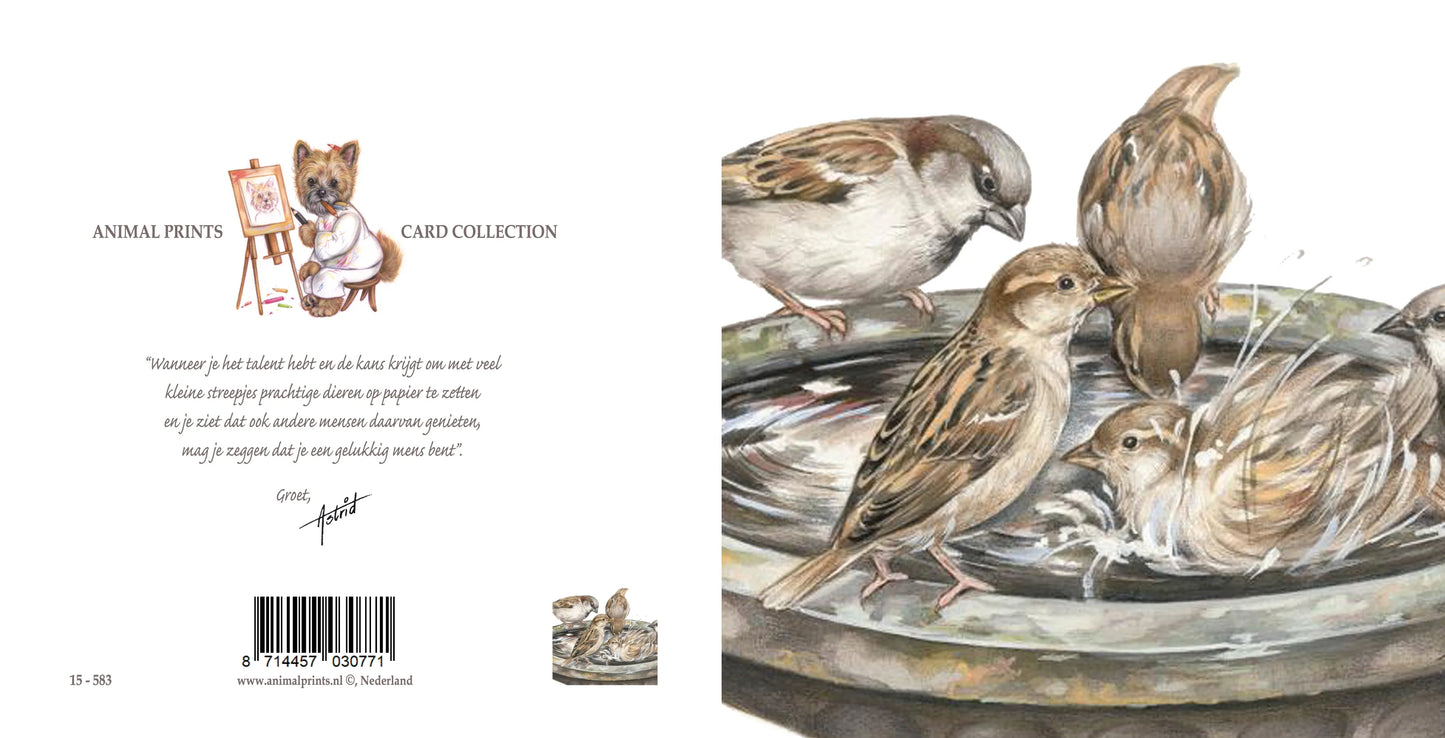 Square card - A refreshing and splashy get-together, with all the sparrows from the neighborhood....