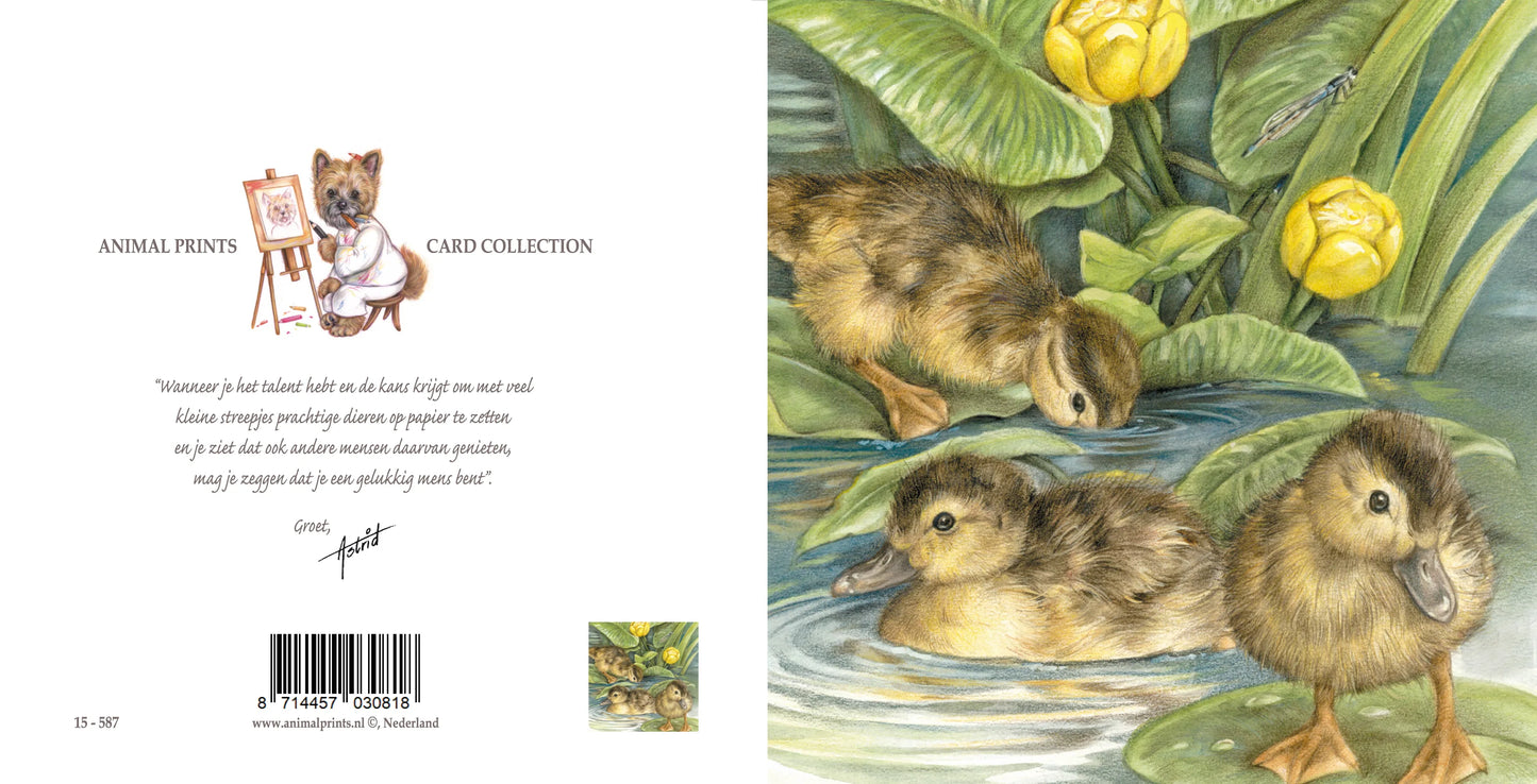 Vierkante kaart - Met de kleintjes op stap