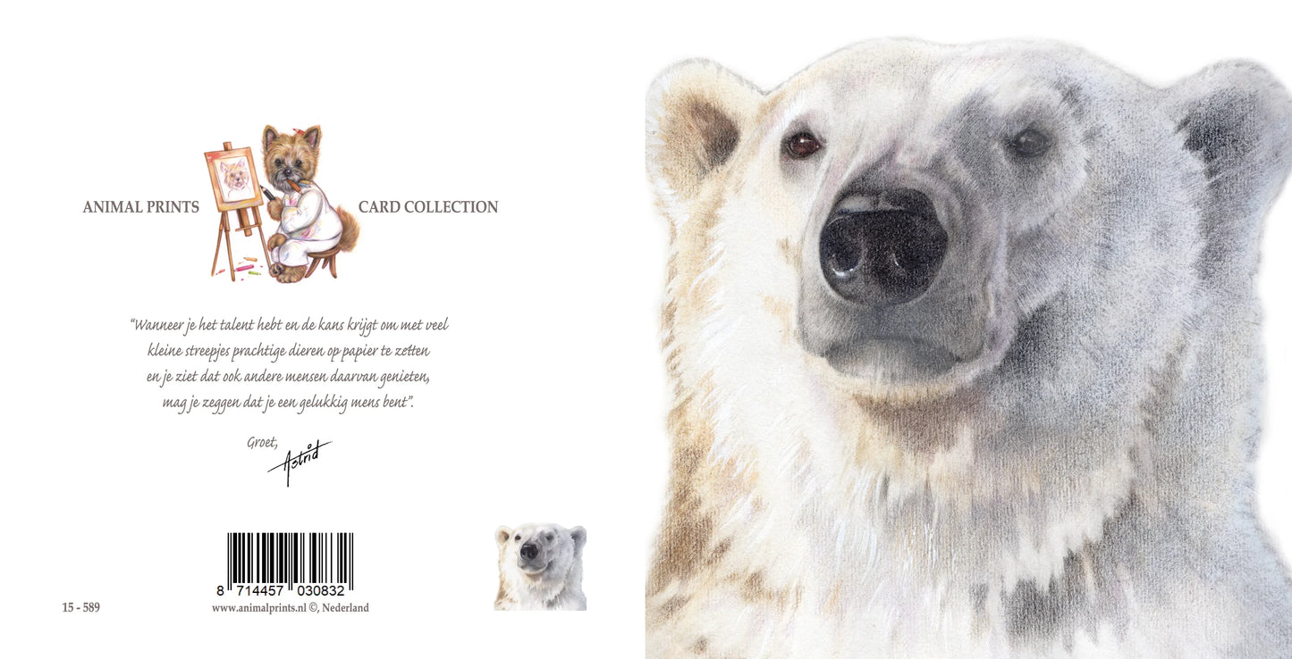 Square card - Polar bear, self-portrait