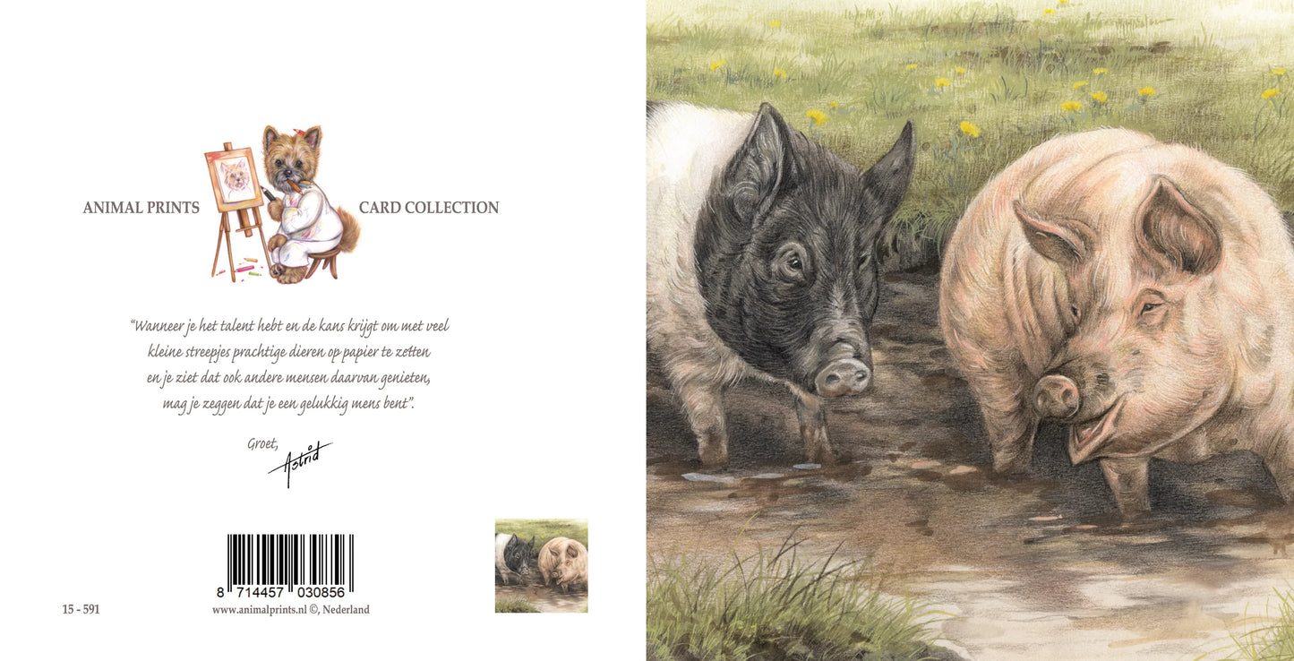 Square card - We're making it a pigsty..