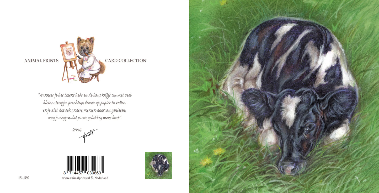 Square card - Calf in the pasture