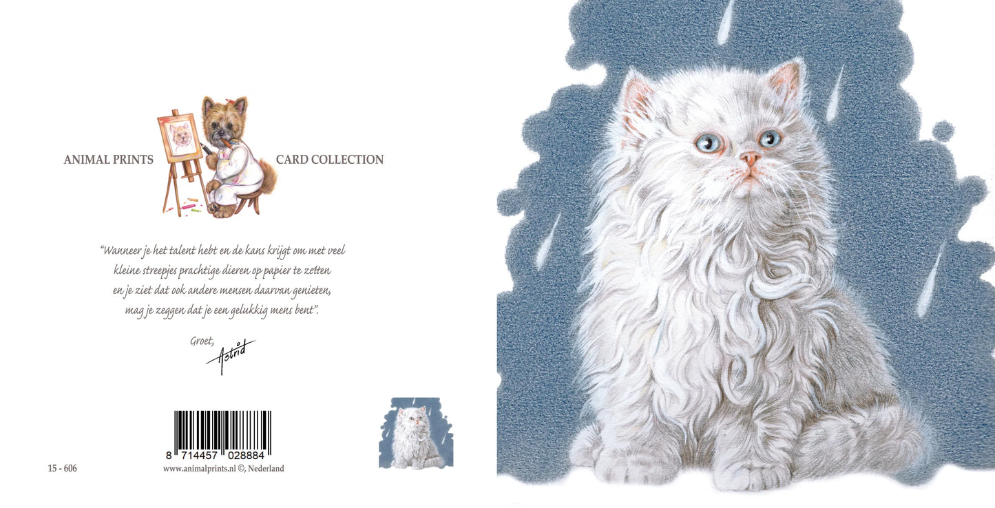 Square card - It's Raining Cat's - Persian Cat