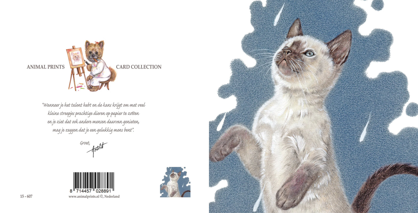 Square card - It's Raining Cat's - Ragdoll