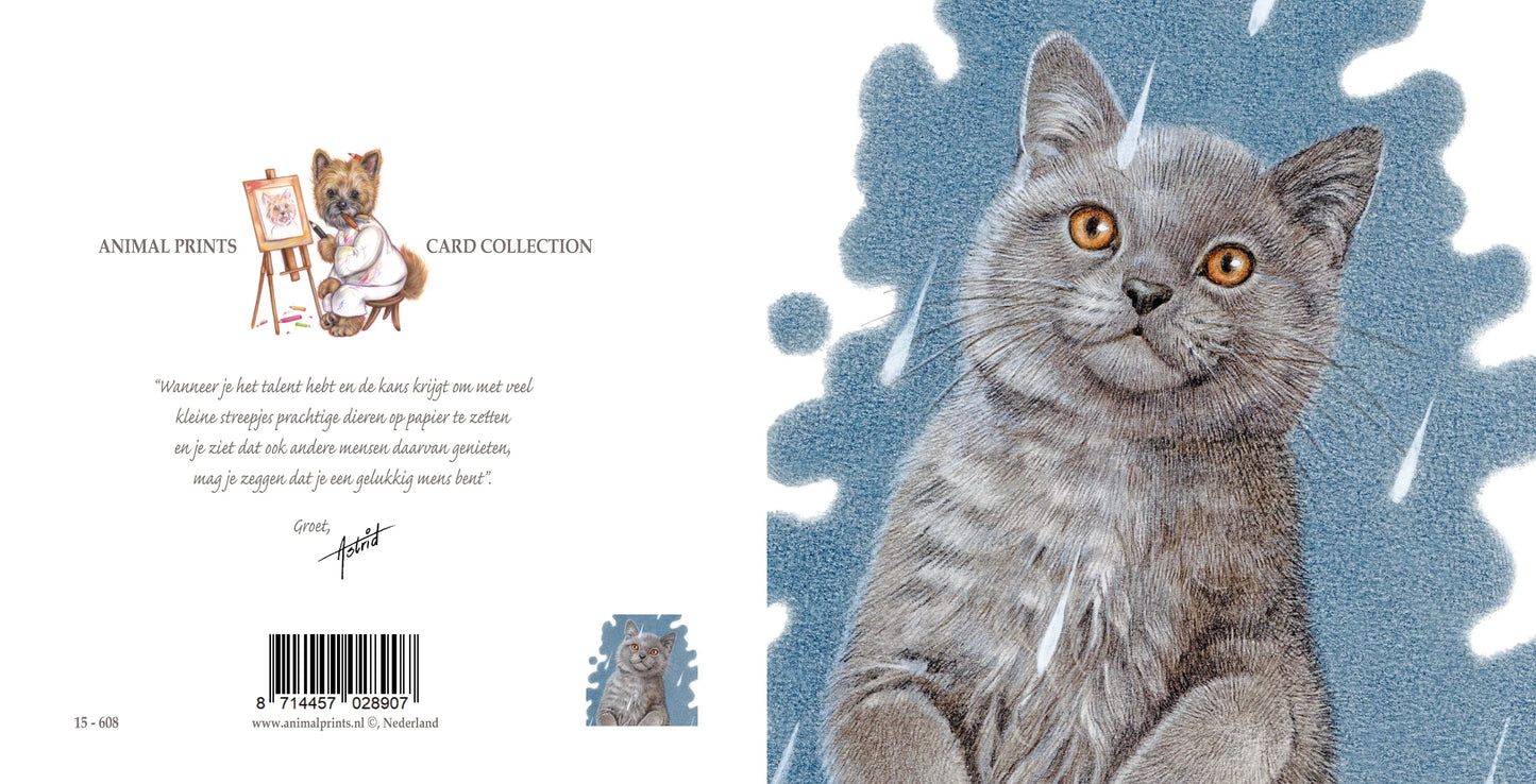 Square card - It's Raining Cat's - British Shorthair