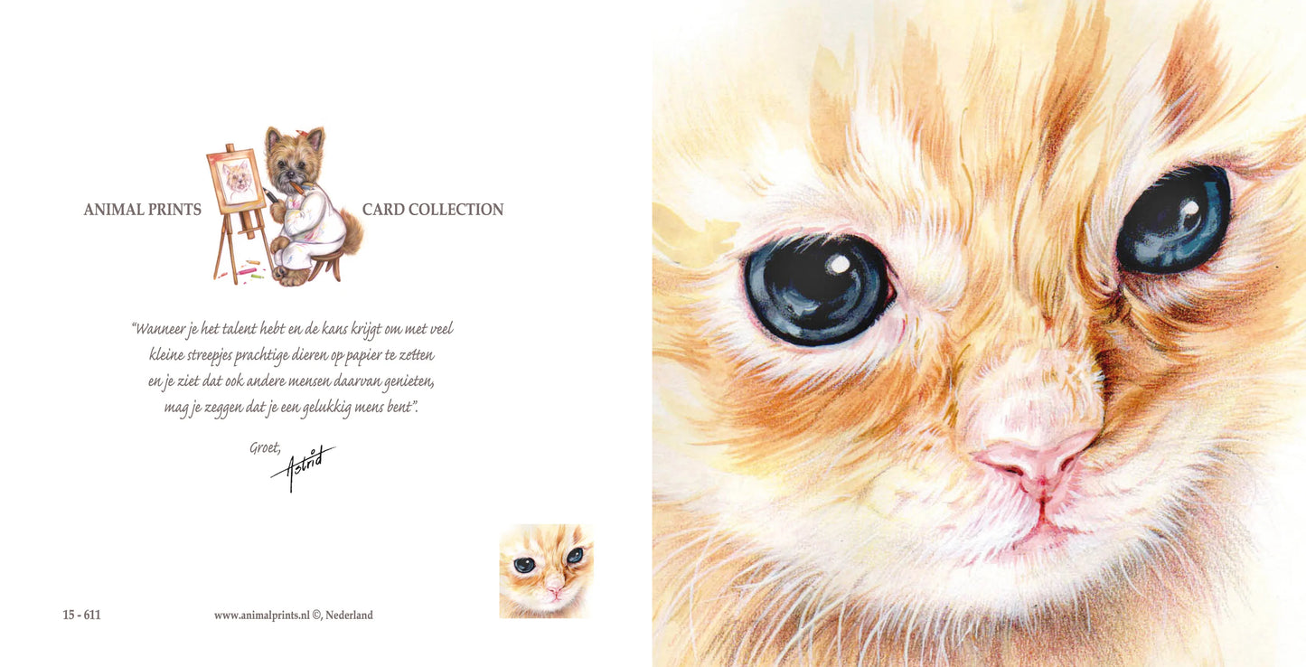 Vierkante kaart - Nog ietsjes dichterbij...