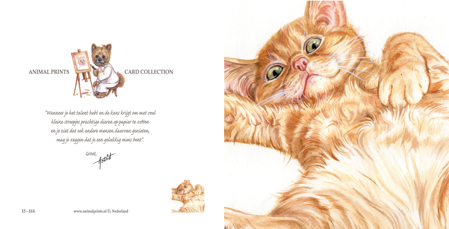 Vierkante kaart - Ben je er klaar voor?