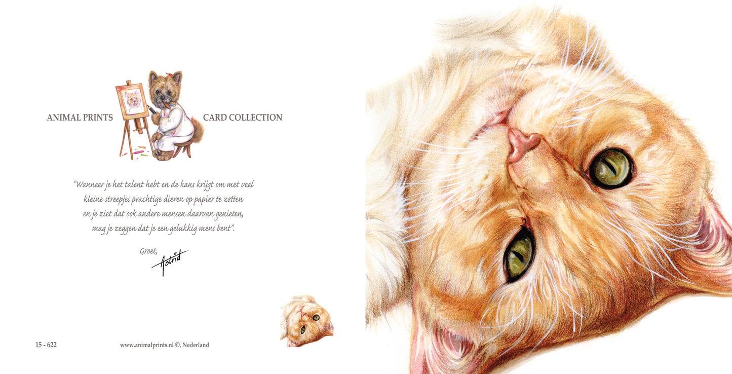 Vierkante kaart - Ben er ondersteboven van..